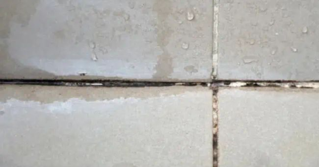 Cracked grout between bathroom tiles showing signs of water damage