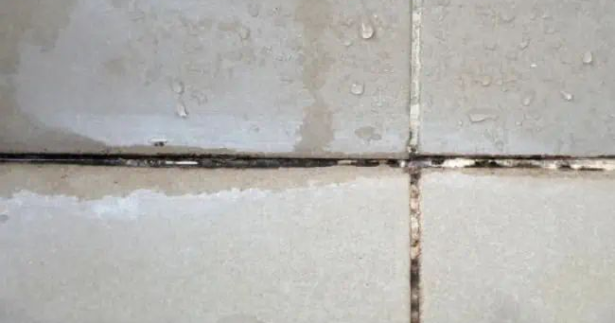 Cracked grout between bathroom tiles showing signs of water damage