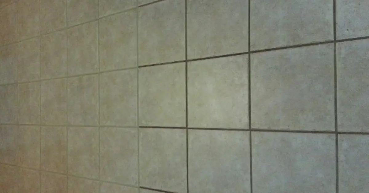 Efflorescence on tiles showing white powdery grout residue